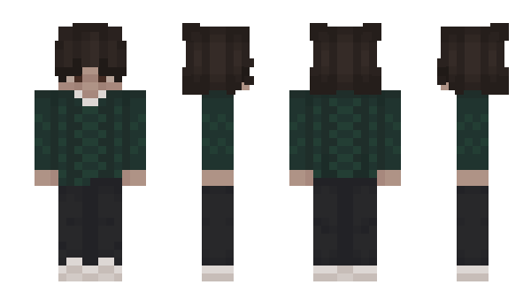 Minecraft skin RMJE