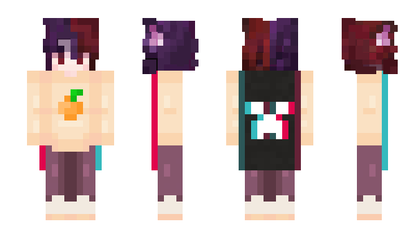 Minecraft skin XRaychik