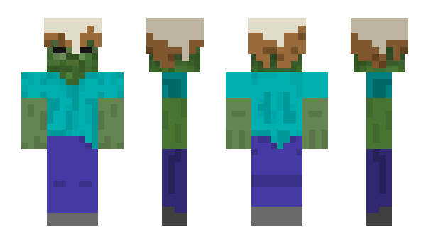 Minecraft skin DinkDonk