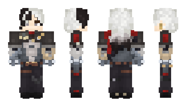 Minecraft skin dupp10