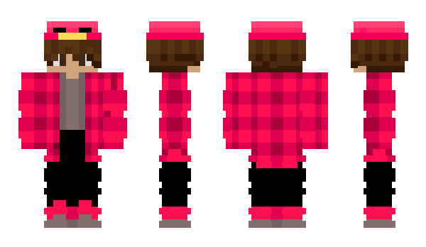 Minecraft skin RawdySensei