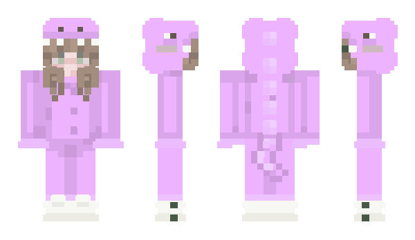 Minecraft skin Evacker