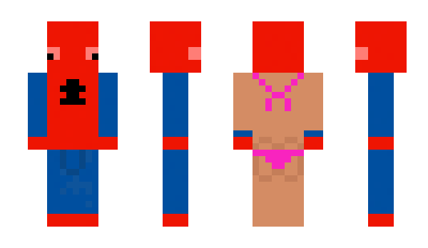 Minecraft skin PocketCashFan