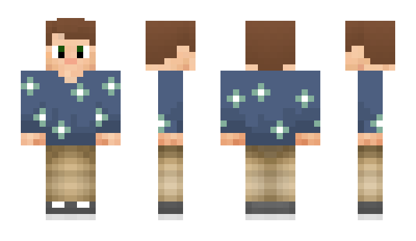 Minecraft skin Shadtm