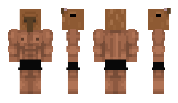 Minecraft skin Draginite