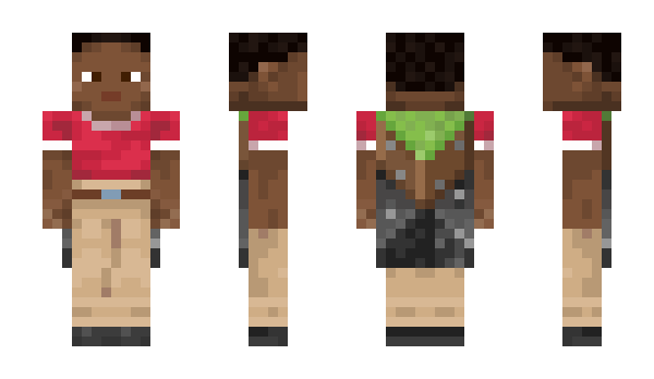 Minecraft skin wddw