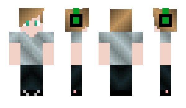 Minecraft skin gatemiks