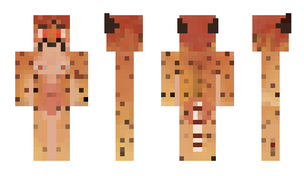 Minecraft skin jerrro