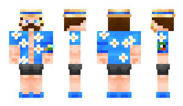 Minecraft skin Shvedoff