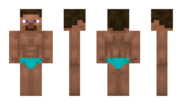 Minecraft skin LionHea
