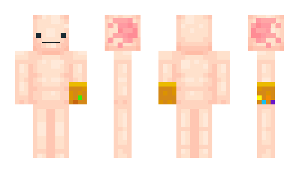 Minecraft skin pogie