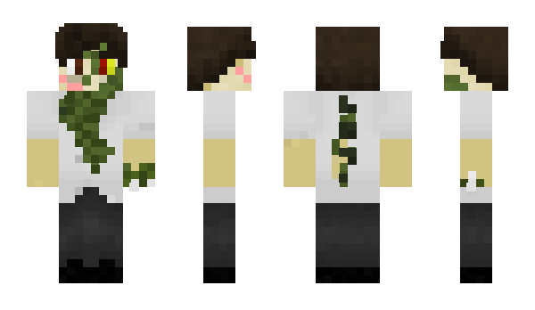 Minecraft skin linkiewicz__