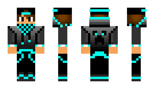 Minecraft skin Mikkiellis