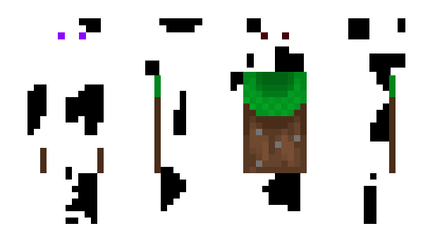 Minecraft skin xybca