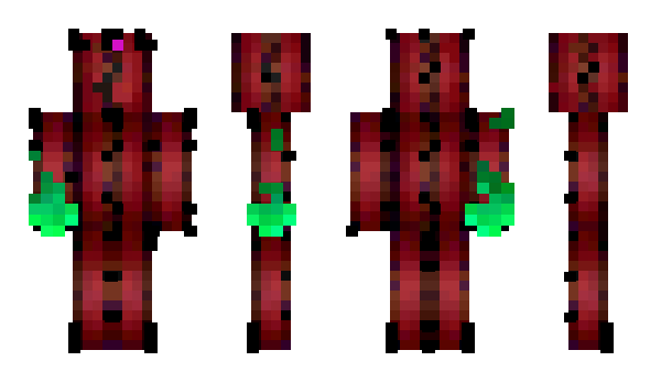 Minecraft skin timhffmn212