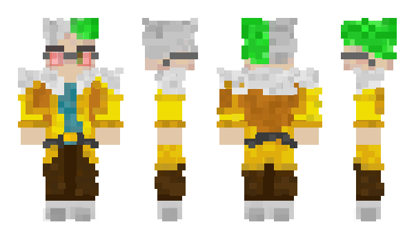 Minecraft skin _Rio_Kartus