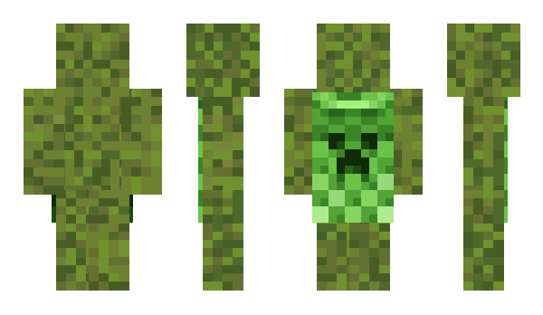 Minecraft skin Gyser