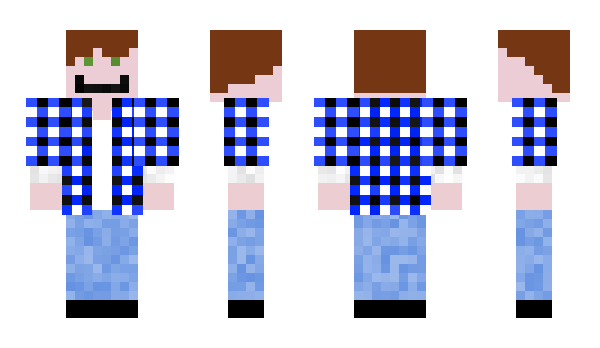 Minecraft skin wendale