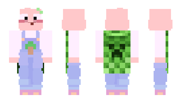 Minecraft skin DingleSovs