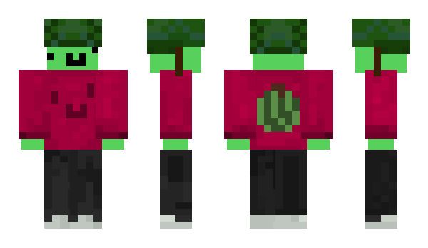 Minecraft skin m6nrykk
