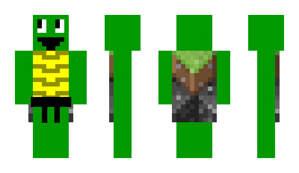 Minecraft skin TurtleTorch