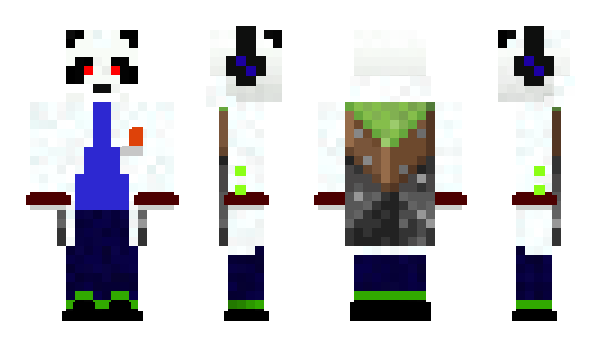 Minecraft skin SpyEnnX