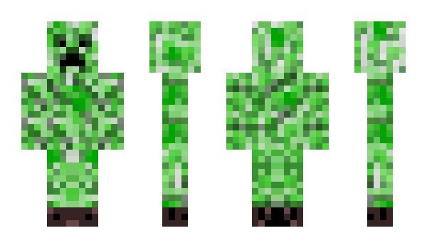 Minecraft skin pjv1001