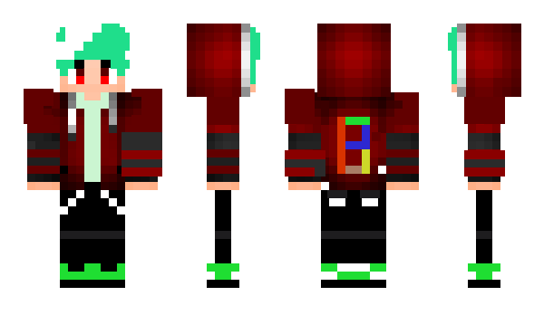 Minecraft skin DUCBIKA