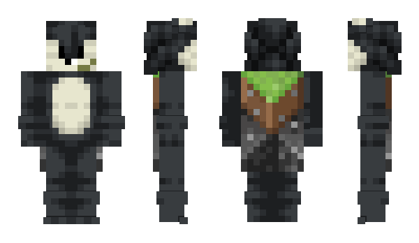 Minecraft skin ZANATOrichacker