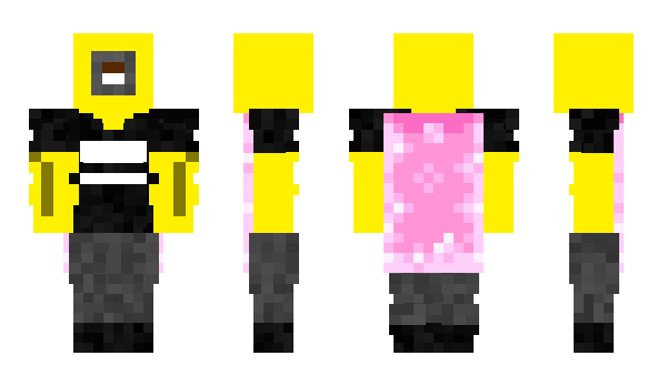 Minecraft skin Maxxem