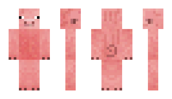 Minecraft skin Chander