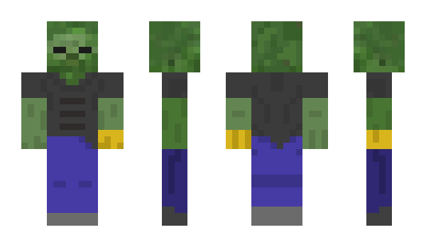 Minecraft skin Swring