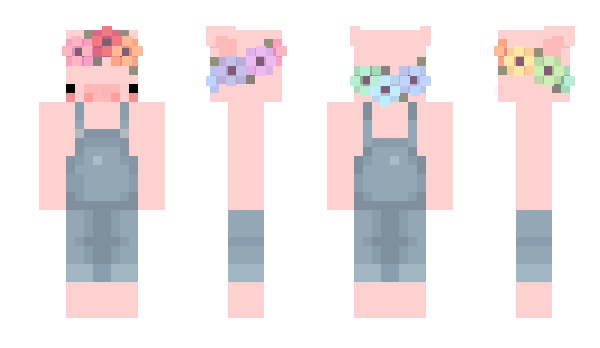 Minecraft skin PrincePig