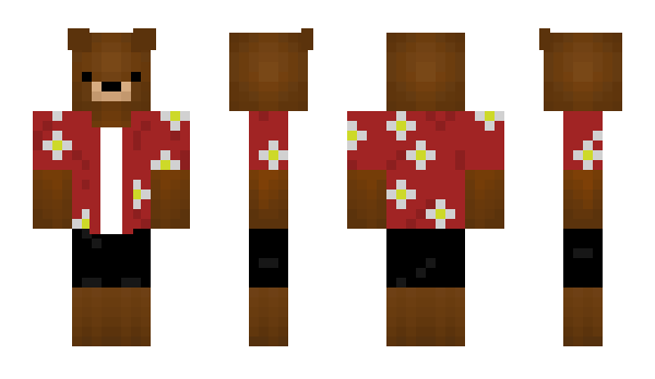 Minecraft skin Kaluga35