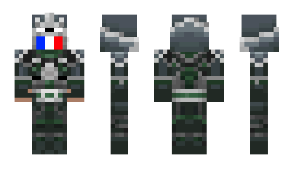 Minecraft skin tdu