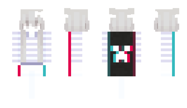 Minecraft skin Flashe