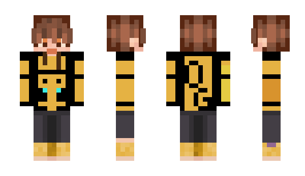 Minecraft skin Mr_Bee_Boy