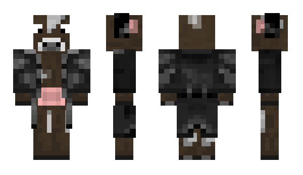 Minecraft skin Royhess