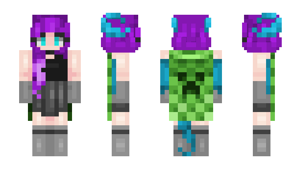 Minecraft skin Micerin