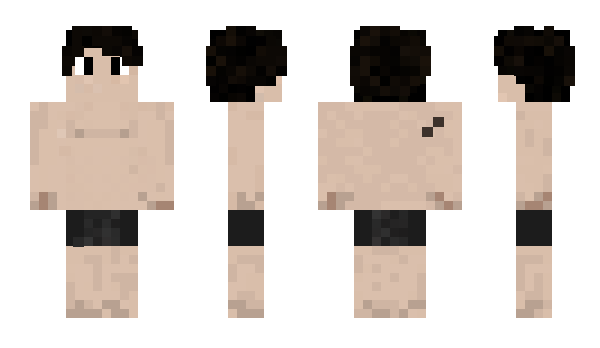Minecraft skin Pur901