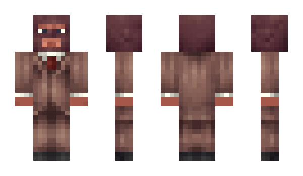 Minecraft skin MAXEL123