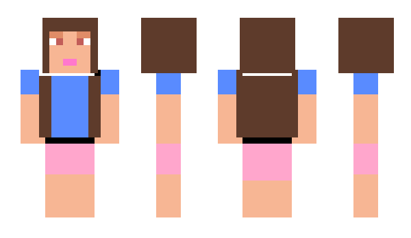 Minecraft skin damester