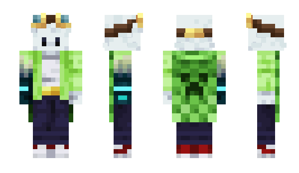 Minecraft skin In2T3nT