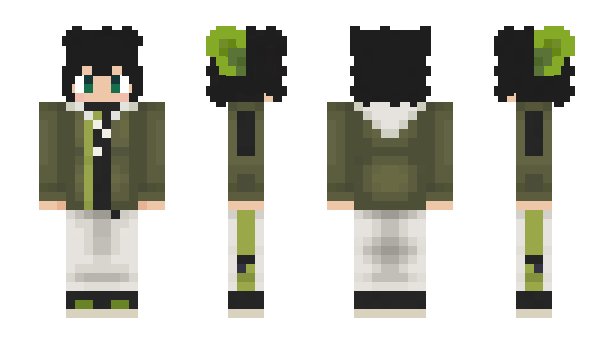 Minecraft skin furry12