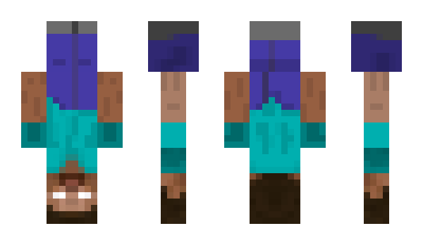 Minecraft skin Sjovikskungen