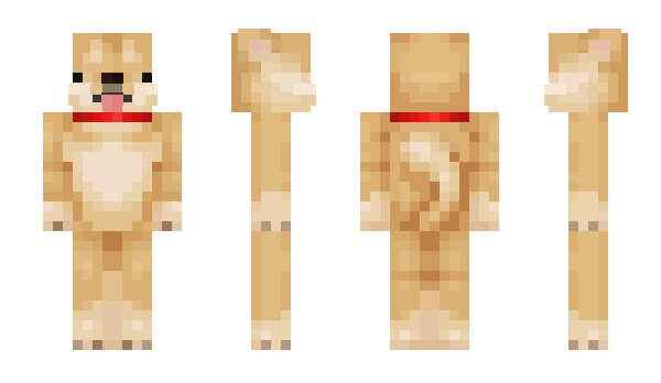 Minecraft skin Aerp