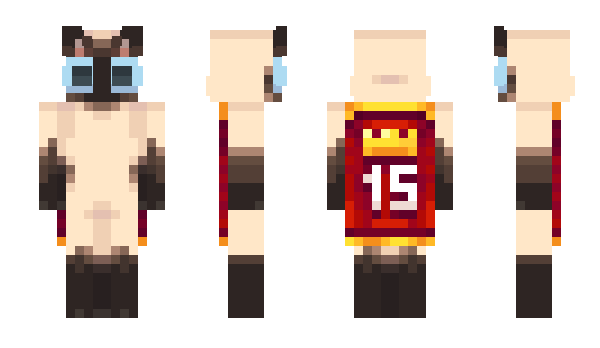 Minecraft skin KoiBox