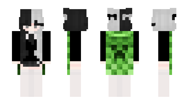 Minecraft skin Conl