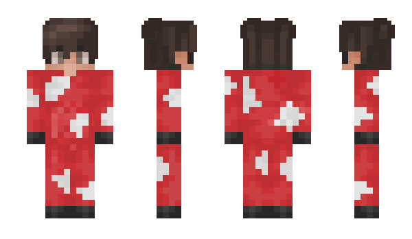 Minecraft skin Androte