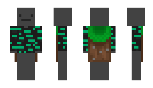 Minecraft skin VaiponOff